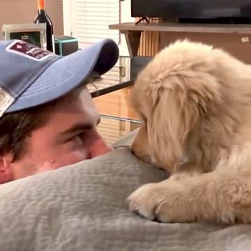 😍😍😍 The most tender look between a puppy and its owner 😍😍😍