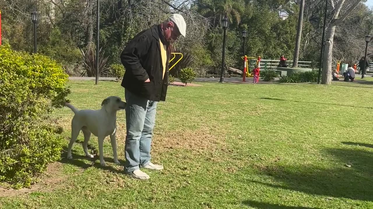 Lost Dog Reunited With Family