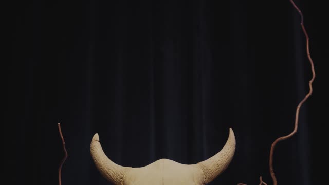 smoke-coming-out-of-an-animal-skull