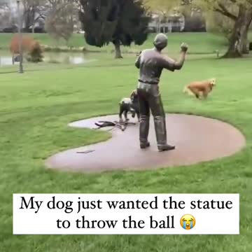 Come Alive Dog Training