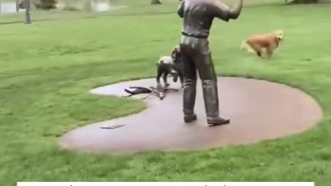Come Alive Dog Training