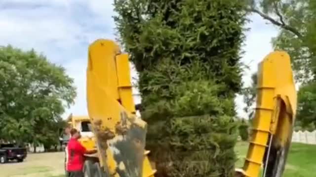 Fully automatic tree planting machine