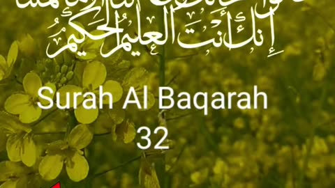 Prays to Allah || Surah Al Baqarah(32) in beautiful Voice #quran