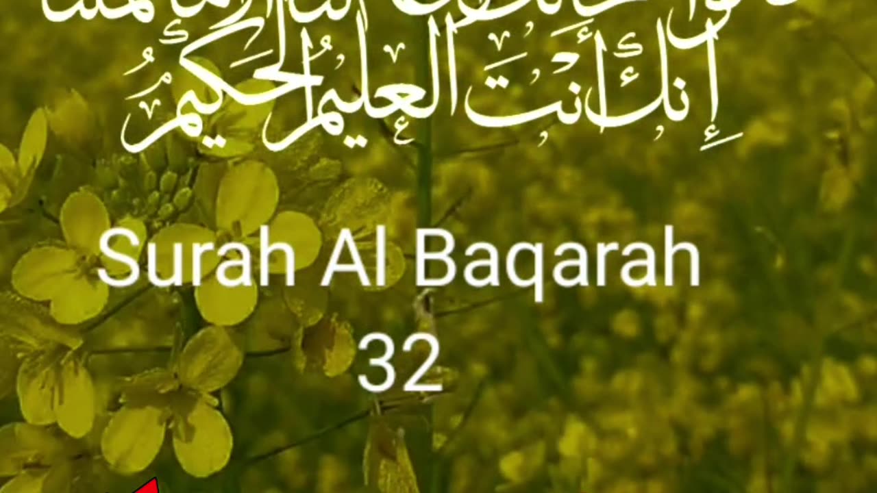 Prays to Allah || Surah Al Baqarah(32) in beautiful Voice #quran