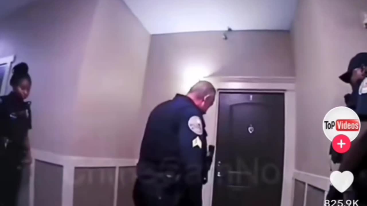 Cop Vs Door