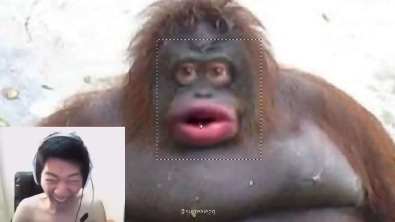 Monke Unmasked meme