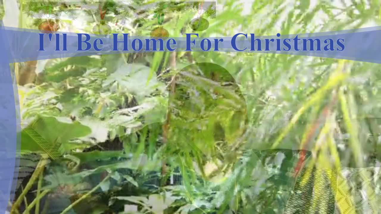 I'll Be Home For Christmas (Cover)