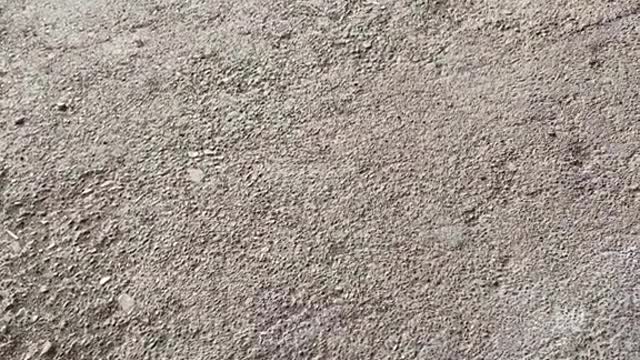 funny|prank|jokes|funny jokes|dad jokes|funny memes|funny video|fun|laughing|funny animal|knock