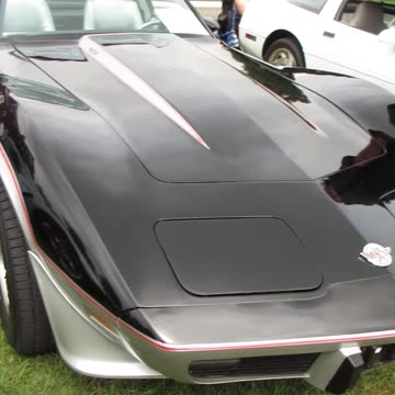 1978 Chevrolet Corvette Silver Anniversary L-82