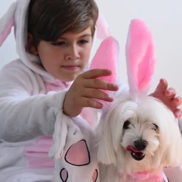 Funny Baby Bunny Rabbit Videos #8 - Cute Rabbits 2022