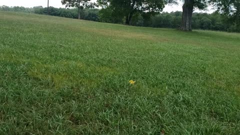 Chickamauga battlefield