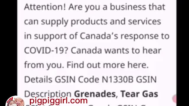 “人民必須趕緊覺醒”_手榴彈、催淚瓦斯，加拿大政府2016年已為C_19疫情做好準備……對付你了！