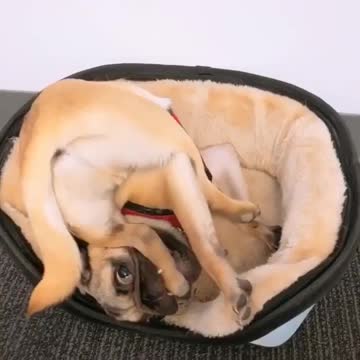 What’s going in here? Any ideas?