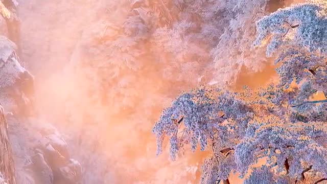 snow scene