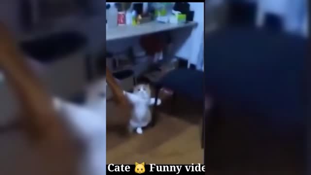 cute pets