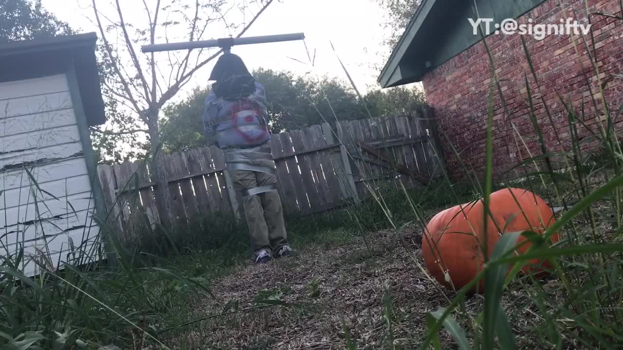 Guy tied to pole target on blue shirt pumpkin target