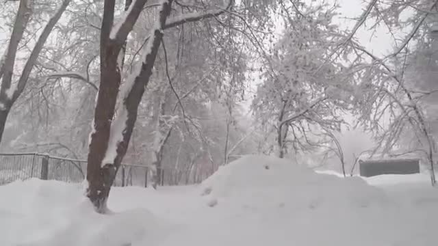 Rumble/ Natural Phenomena - These people were a little too close to avalanche that