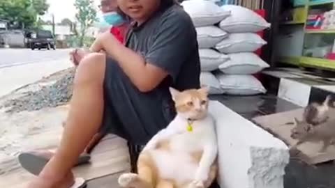 😹_ #funny Cute Animals #shorts Video😂_ #trending #animals #reels