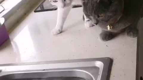 Hunting Reverse.