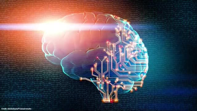 Mary Lee - RAND Corporation - explains IoB THE INTERNET OF BODIES