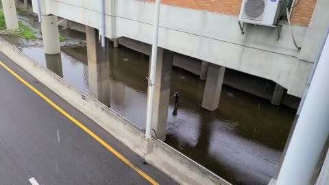 A laborer working on a stream