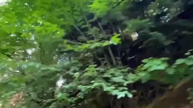 Beautiful Nature