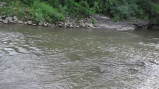 Going on a creek wade! Part 1.Beautiful early summer day to get in the water!