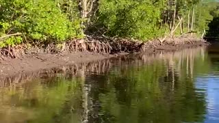 Everglades, Florida