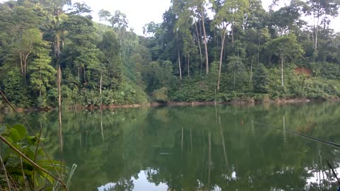 Fishing in a natural lake, catching carp as strong as an athlete