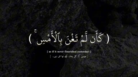 Quran recitation