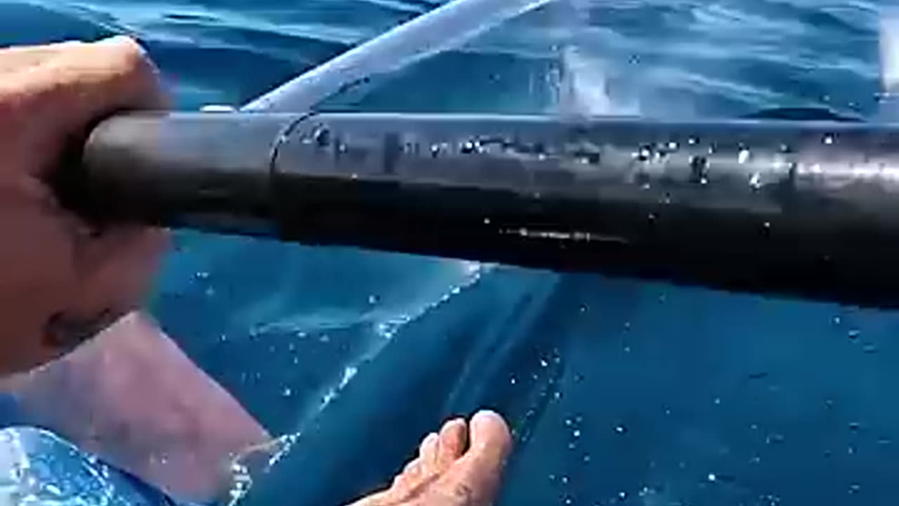 Super Whale