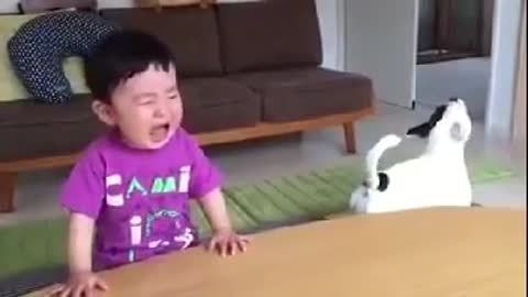 Funny Dog with a Litte Boy