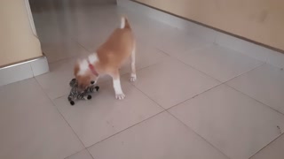 Joys play time