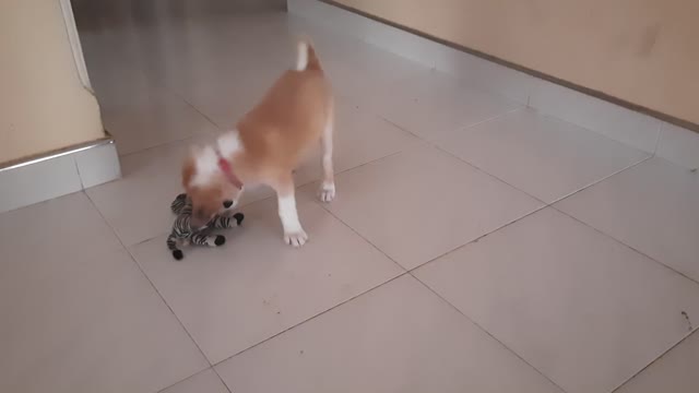 Joys play time