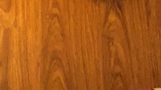 What’s with all the insect killings?