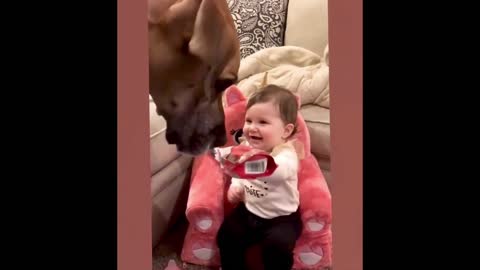 Babies and dogs love playing together.