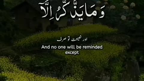 Beautiful Quran Recitation by Abdul Rahman Mossad Soulful and Melodic Verses