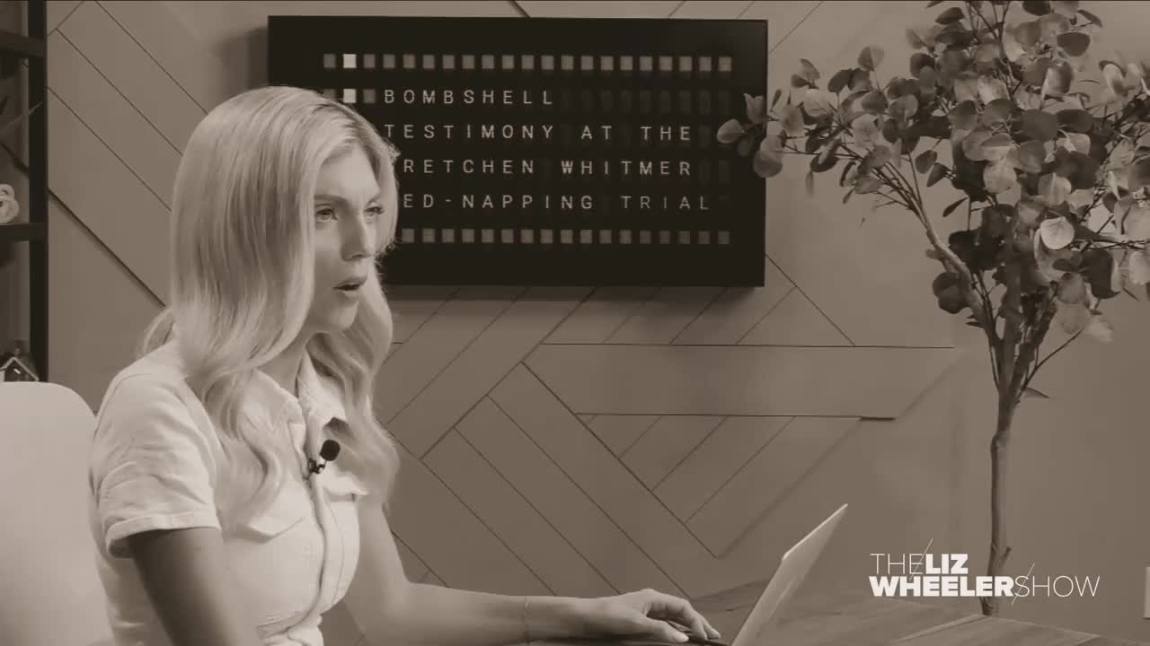 Liz Wheeler: FBI Misconduct Revealed in Court on the Whitmer "Fednapping"