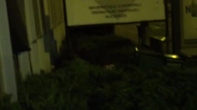 Guy black shirt runs into sign