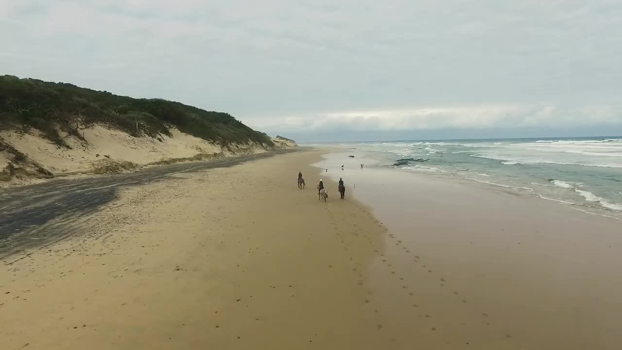 Horses Running On A Beach (Cayman Islands)