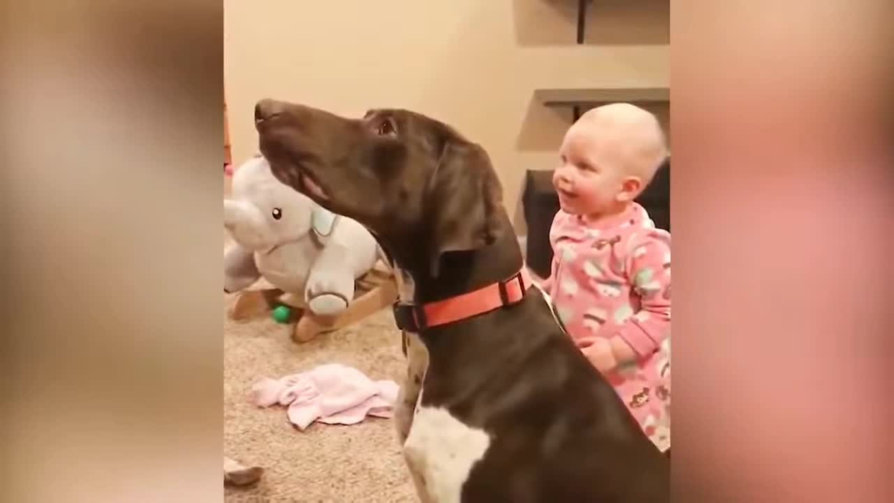 CUTE DOGGY AND BABY having fun together