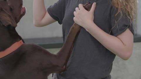 A girl training a dog