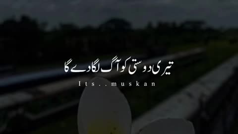 Byshak ♥️