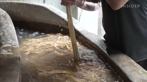 Making paper from bark