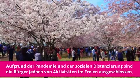 Ein Jahr danach - Wuhan