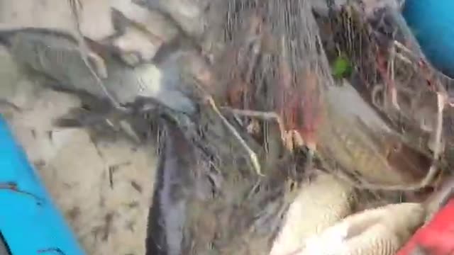 New primitive technology. Old methods in a new way v.6