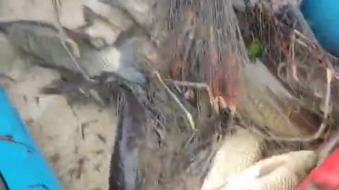 New primitive technology. Old methods in a new way v.6