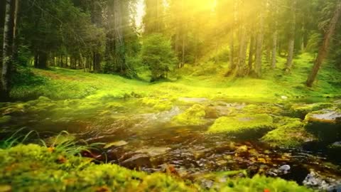 Relaxing Music | Sleeping, Meditation, Stress Relief | [15] ⭐️