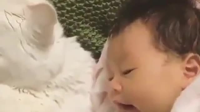 Love Between Cat And Baby