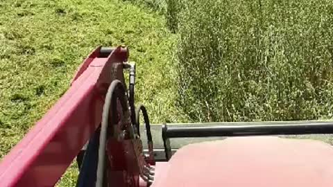 Bushhoging with Mahindra 2545